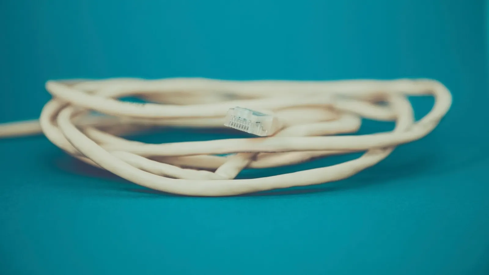 Coiled white Ethernet cable on a teal background